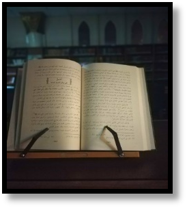 THE FORGOTTEN FEMALE LEGACY