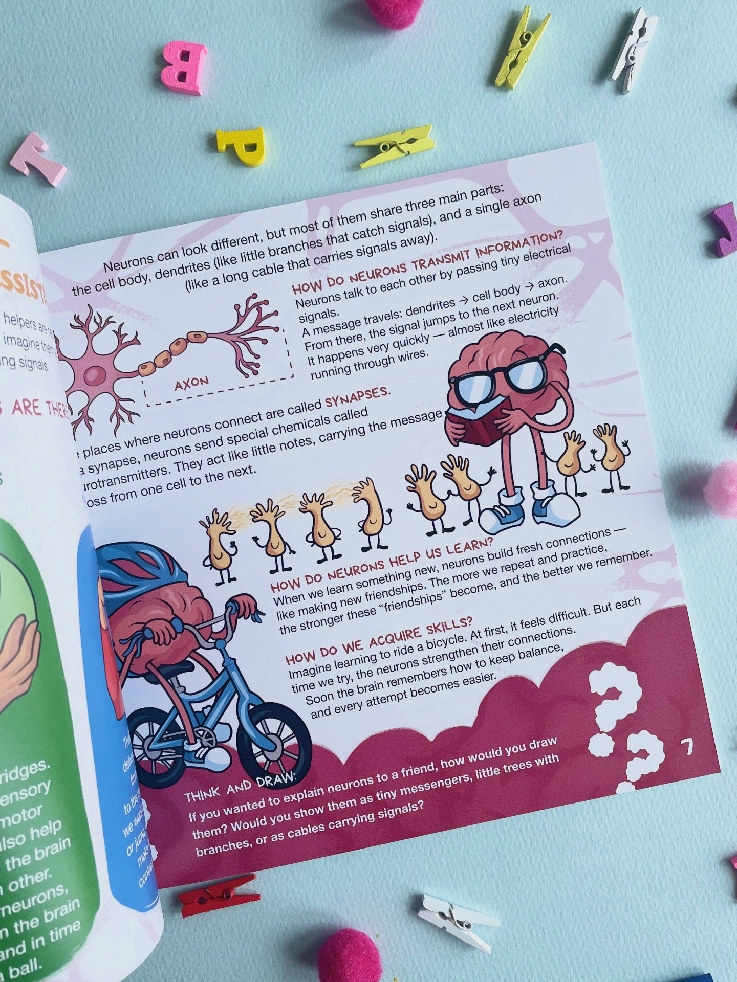 Man is a Wondrous Creation of Allah - The Brain